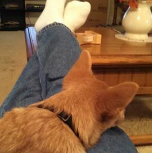 Meet your Posher, Mark